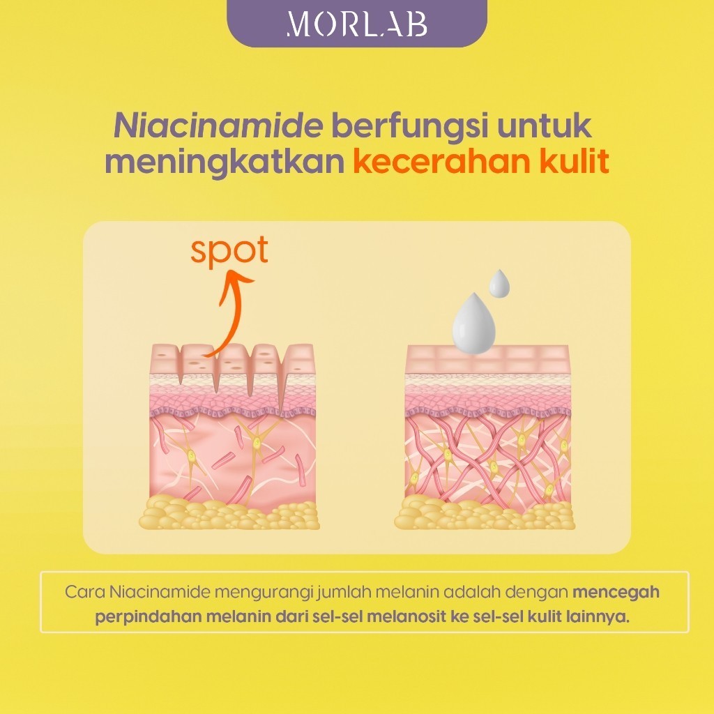 MORLAB - V10 Vitamin Tone Up Cream With Idebenone