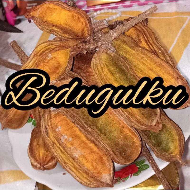 Buah Salju 500gr + Free Pot Khas Bali