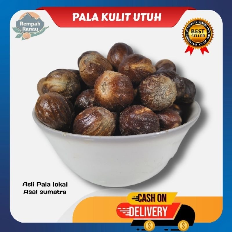 Biji buah pala kering 1kg | Buah pala kulit kering Asal Sumatra | Buah pala kulit 100% murni