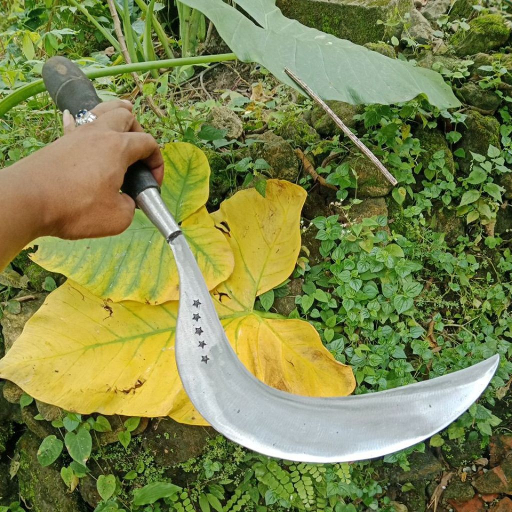 Arit rumput asli baja super tajam ori bintang lima kuat kuat