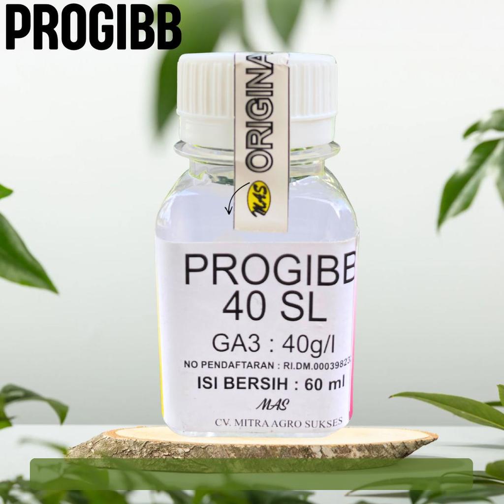 Progibb zpt pemacu pertumbuhan tanaman ga3 zat pengatur tumbuh cair progib