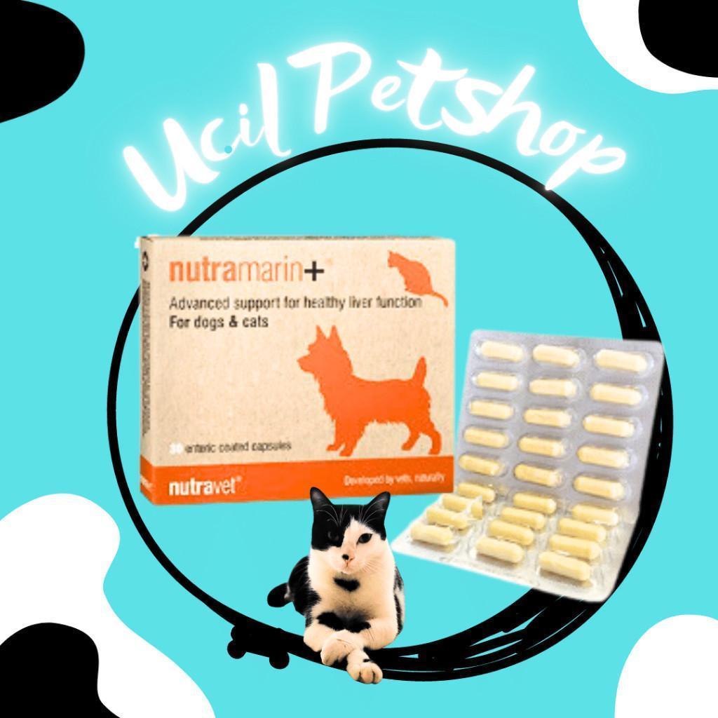 Nutramarin + Plus Obat Gangguan Liver (Hati) Hepatic Hepato Kucing & Anjing Pengganti Samylin (1 Box