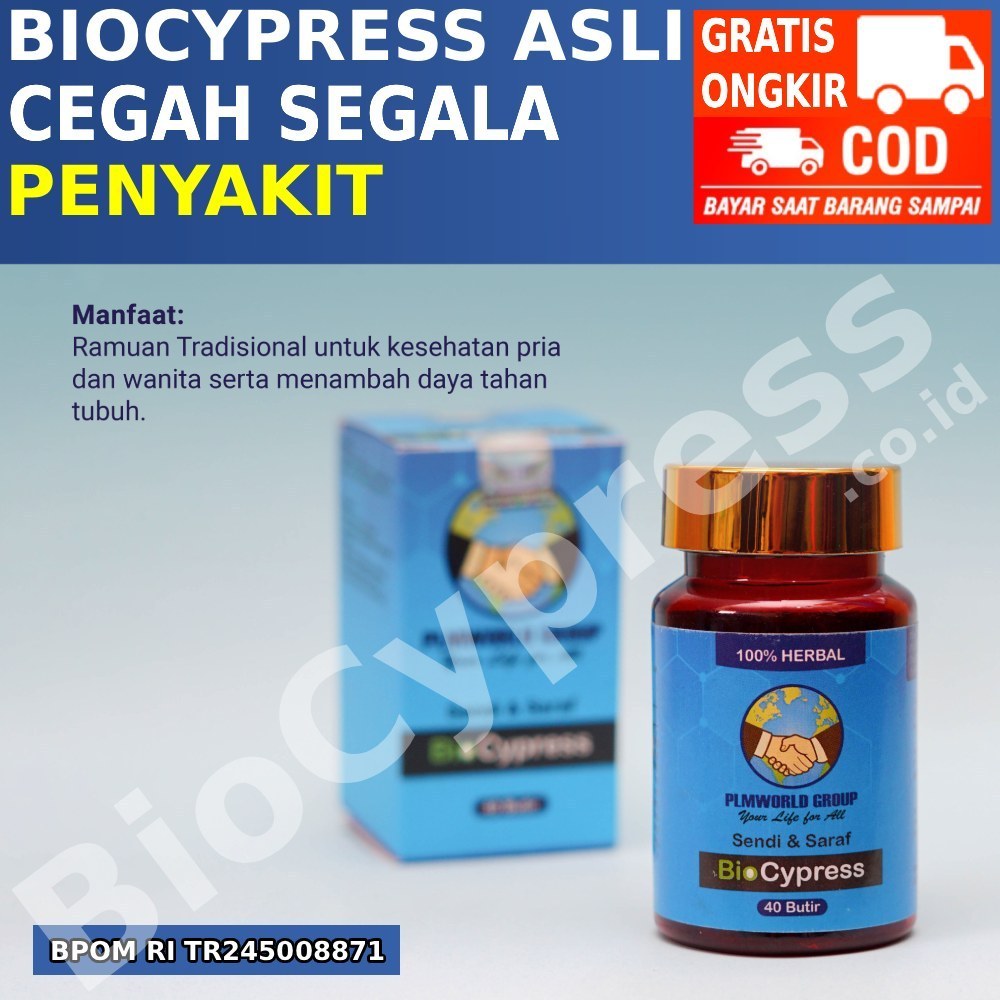 BioCypress Original isi 40 Butir, Solusi Obat Herbal Sendi Saraf, Stroke, Asam Urat, Kolesterol, Dia