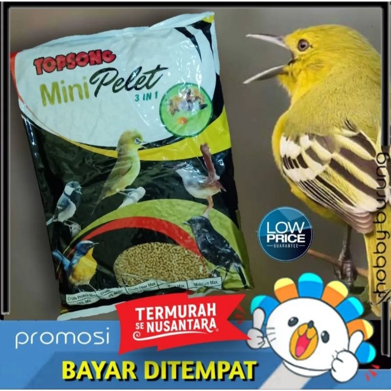 Topsong Mini pelet pur burung kecil voer cipow pleci prenjak ciblek Zaa Bird Feed