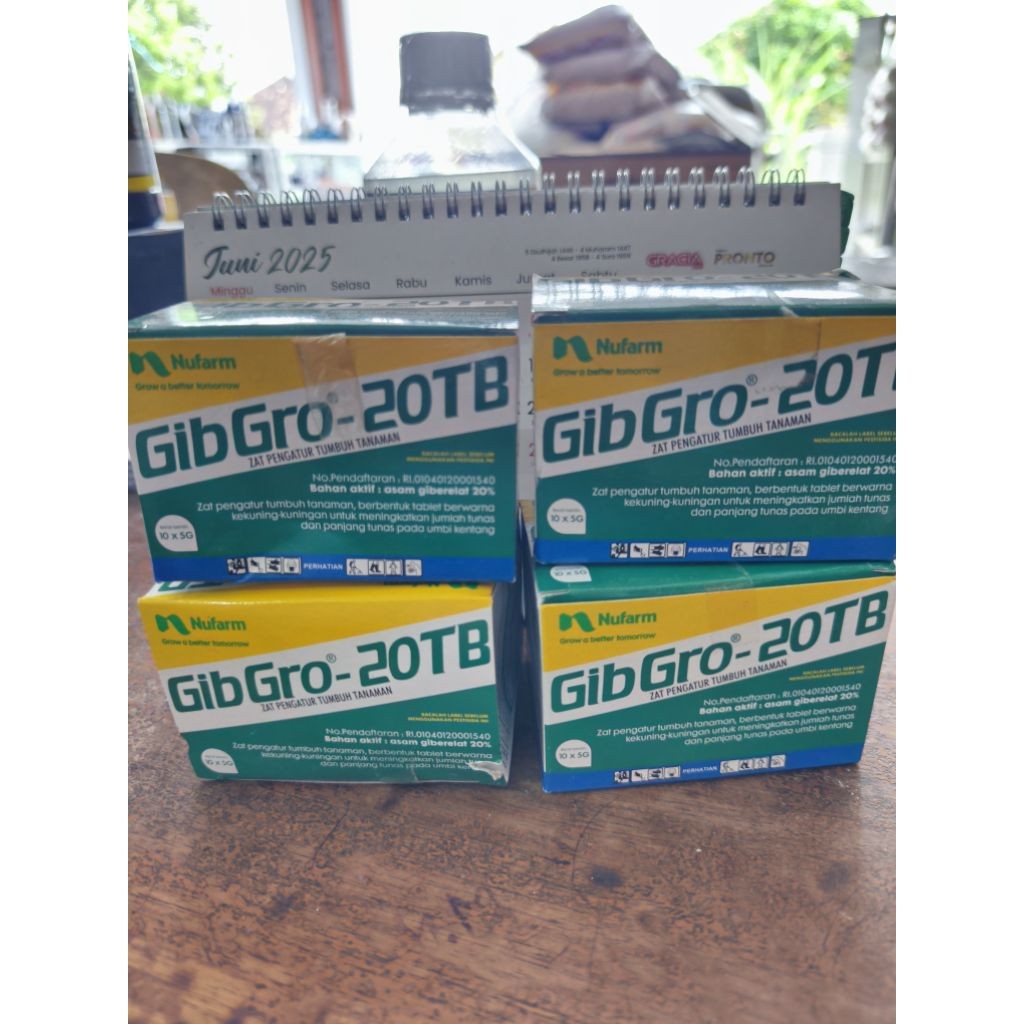 Gibgro 20TB 1pc