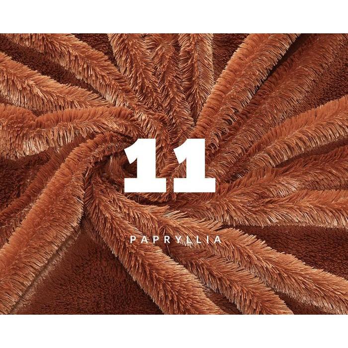 Karpet Bulu Rasfur Karpet Lantai 200x150cm + Busa Tebal (Coklat Muda)