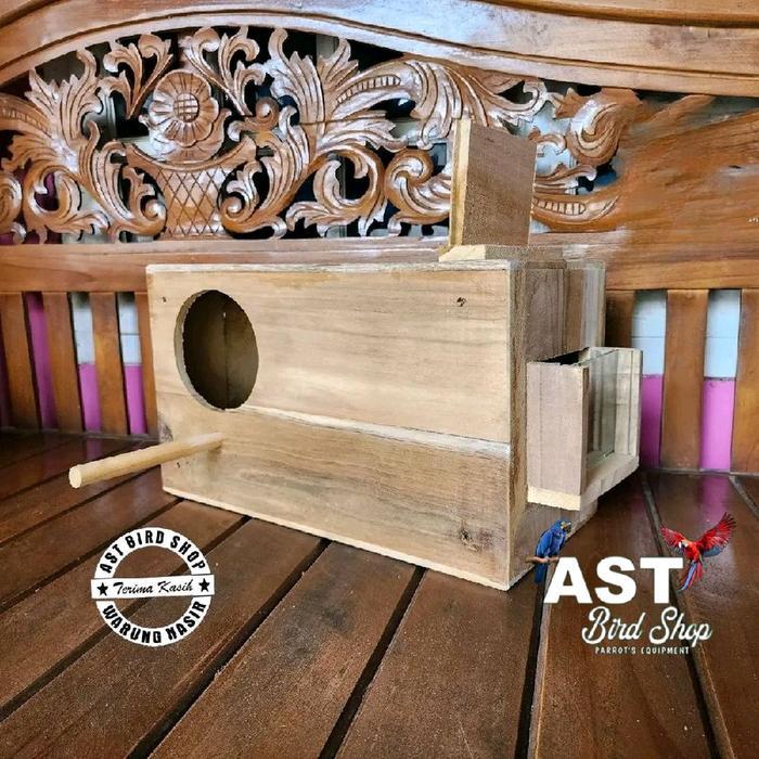 Glodok jalak bali jalak hongkong penempatan kanan