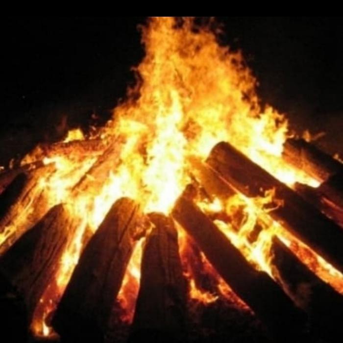 kayu bakar api unggun siap pakai