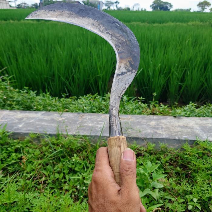 Termurah Arit Sabit Rumput Baja Pir Super Tajam Sangat Kuat kuat kuat
