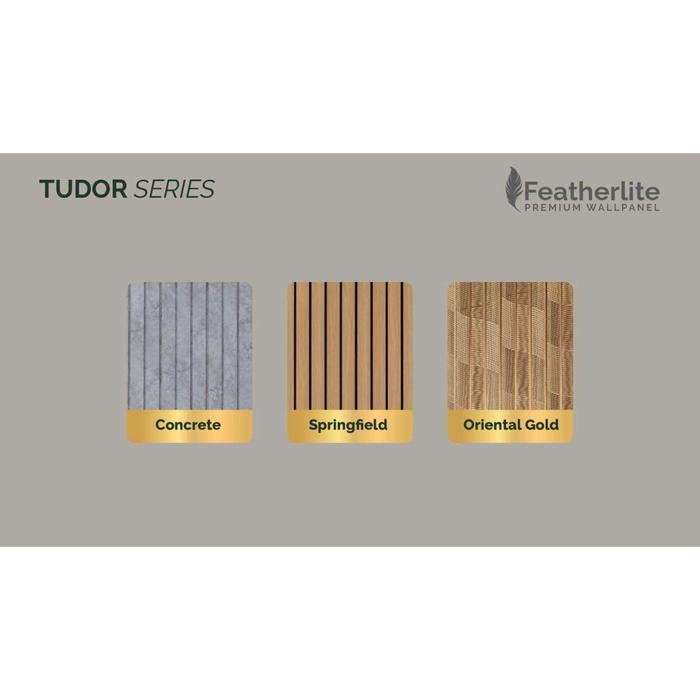 GAIA FEATHERLITE PREMIUM WPC WALLPANEL TUDOR SERIES BY. MARVEL - CONCRETE