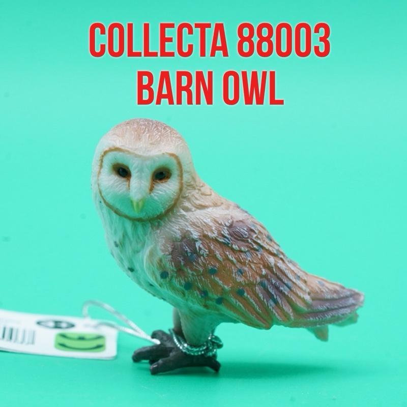 Collecta 88003 Barn Owl Burung Hantu Putih Muka Monyet Tyto Alba | Mainan Figure Binatang Miniature 