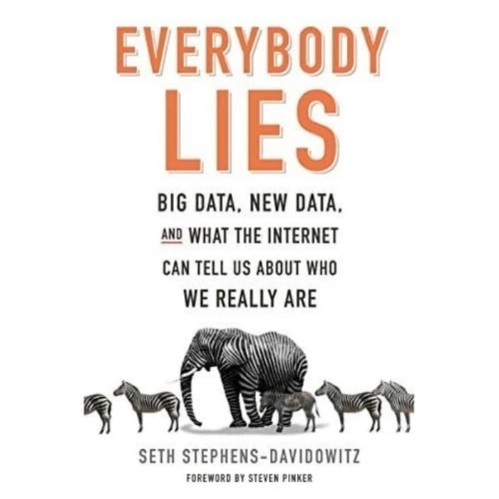 buku Everybody Lies Big Data, New Data