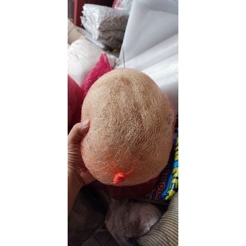 Jaring nelayan media filter koi