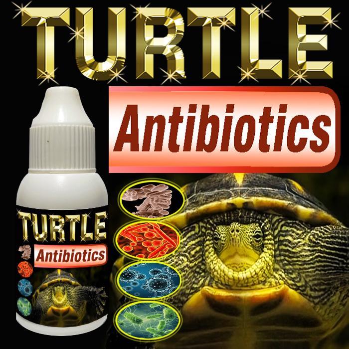 TURTLE ANTIBIOTICS OBAT PENCERNAAN DAN PERNAPASAN PENYAKIT DIARE PNEUMONIA KURA-KURA AIR AMBON BRAZI