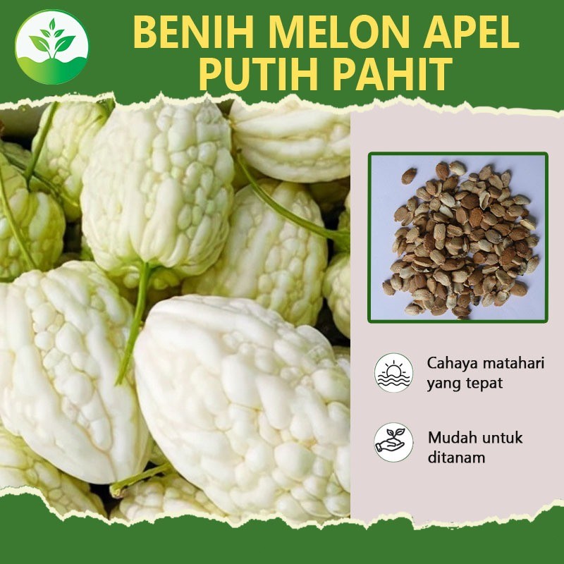 Benih Bibit apel Pare Putih HIGH MOON - Bibit Tanaman Sayur Sayuran Pare Paria Unik Pare Raden Gamba