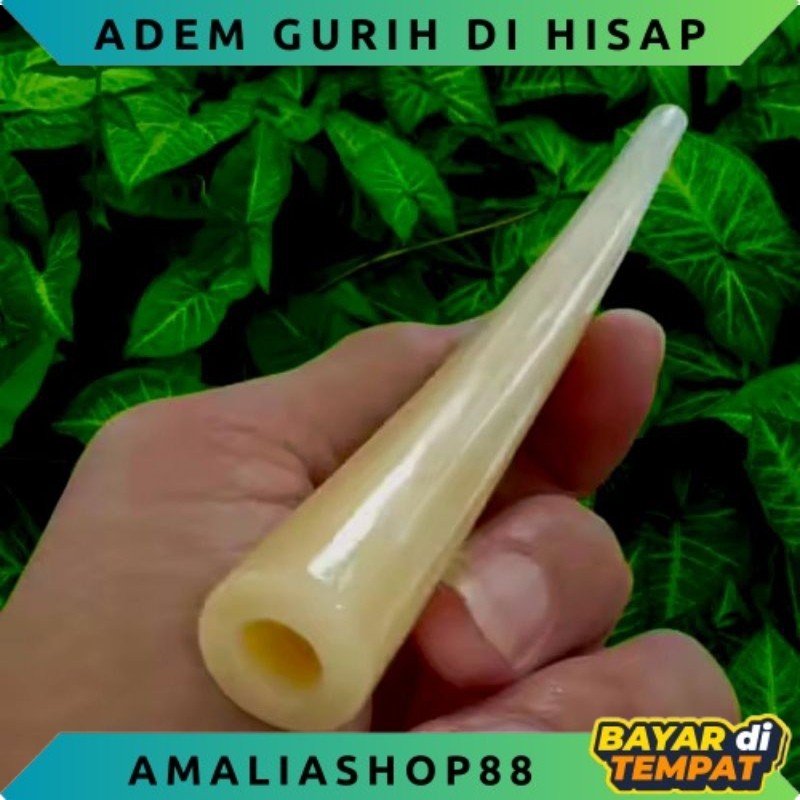 ONCE PIPA TULANG UNTA SUPER ADEM PULEN