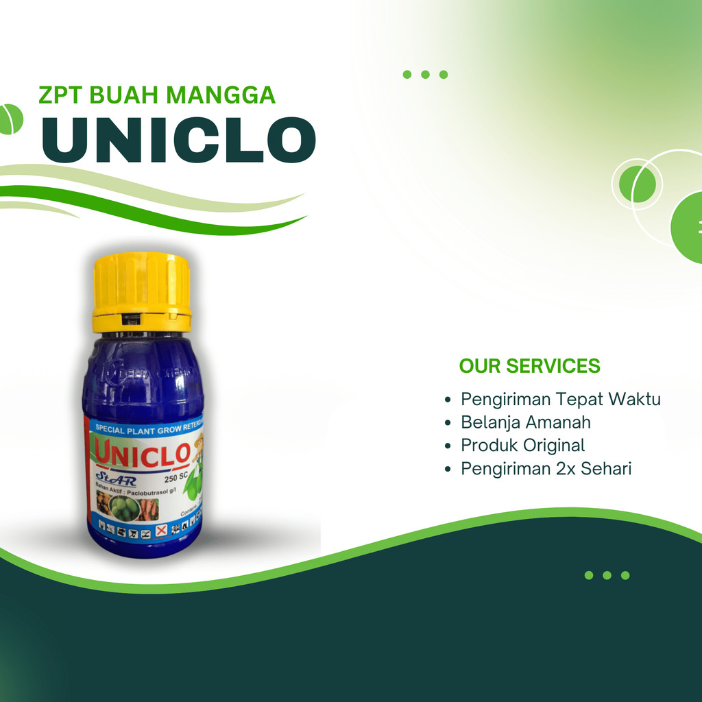 Fungisida UNICLO untuk zat pengatur tumbuh pada tanaman mangga/apel/nanas