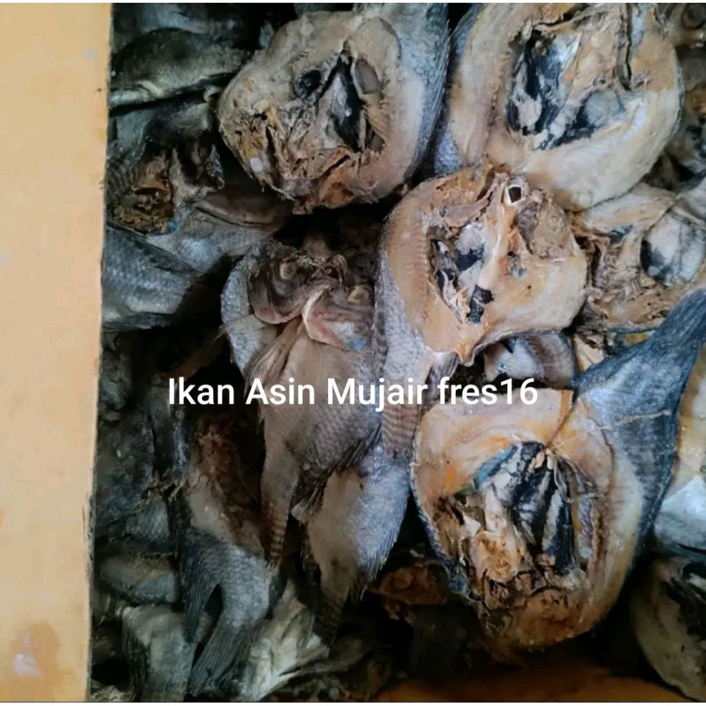 Ikan Asin Mujair Fres16