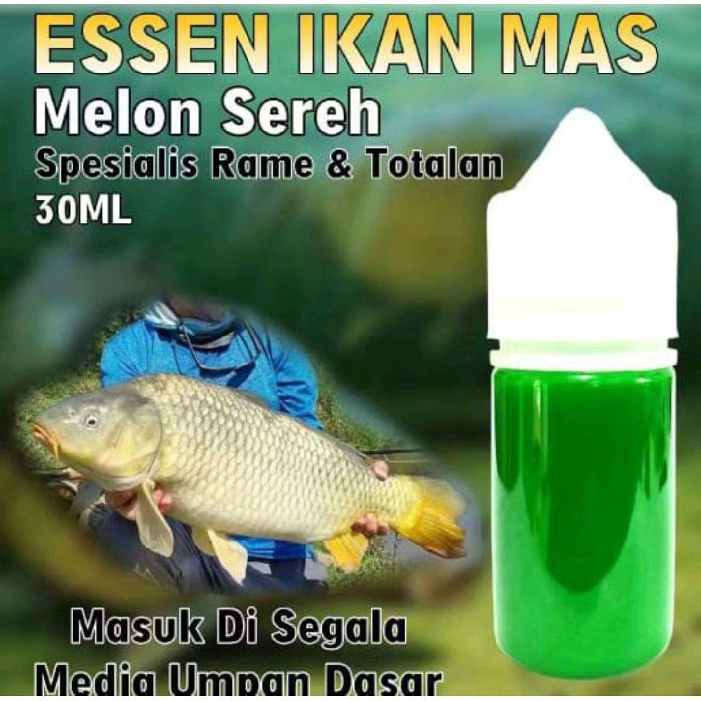 Essen Ikan Mas Oplosan Melon Sereh, Essen Ikan Mas Rame, Essen Ikan Mas Indukan, Essen Ikan Mas Babo