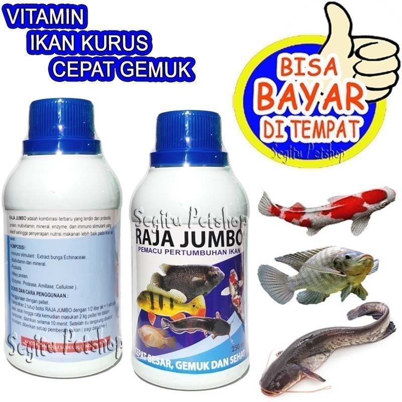 VITAMIN IKAN KURUS CEPAT GEMUK MAS MUJAIR LELE GURAMI PATIN BAWAL GABUS RAJA JUMBO Ikan Jadi Stabil