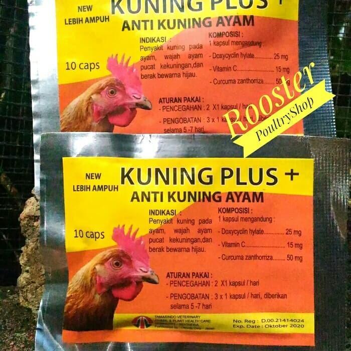 KUNING PLUS anti kuning ayam