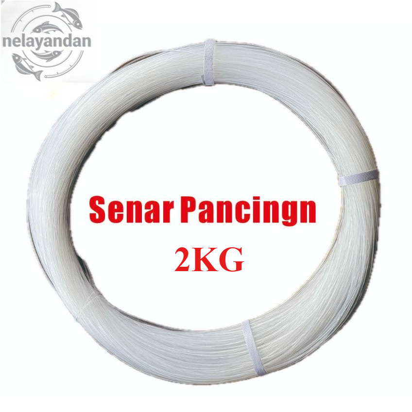 Senar Pancing 2Kiloan Super Kuat – Nylon Tarikan Tinggi, Cocok untuk Mancing Laut, Kapal & Tangan
