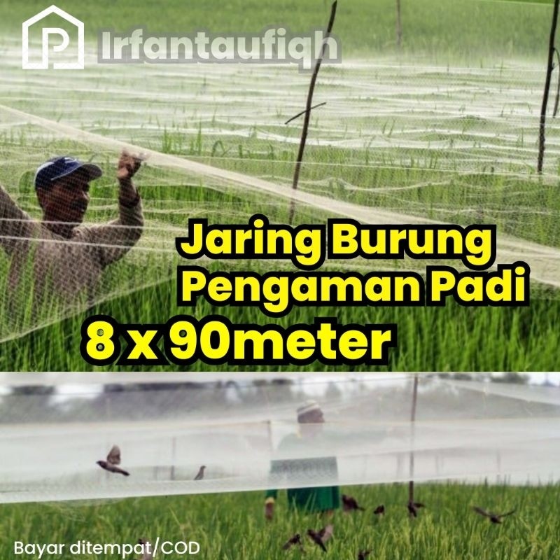 Jaring Burung Sawah Jaring Emprit Jaring Padi
