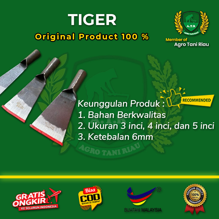 Dodos Sawit Tiger 888 Tanpa Asah Asli Malaysia 5 Inci