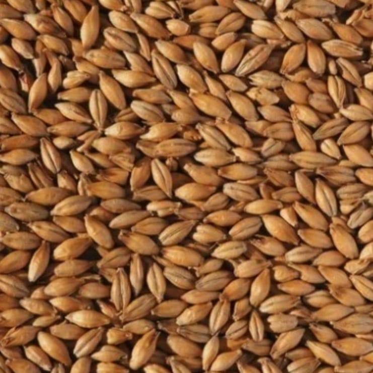 Aim premium AUS CRYSTAL 240-280 barley malt homebrew craftbeer peralatan bar peralatan dapur alat al