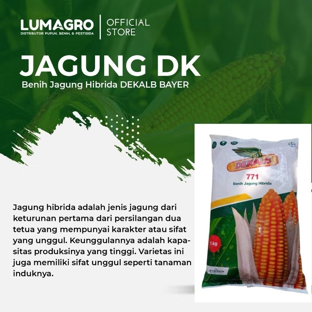 Benih Jagung Hibrida DK 771 1kg Hasil Tinggi
