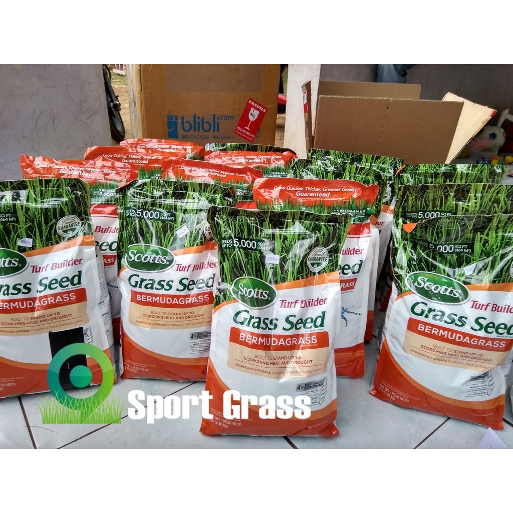 BIJI RUMPUT SCOTTS TURF BUILDER BERMUDA GRASS