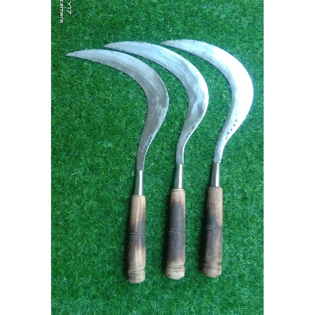 SABIT ARIT CELURIT MADURA COCOK BUAT CARI RUMPUT DAN PANEN PADI kuat kuat