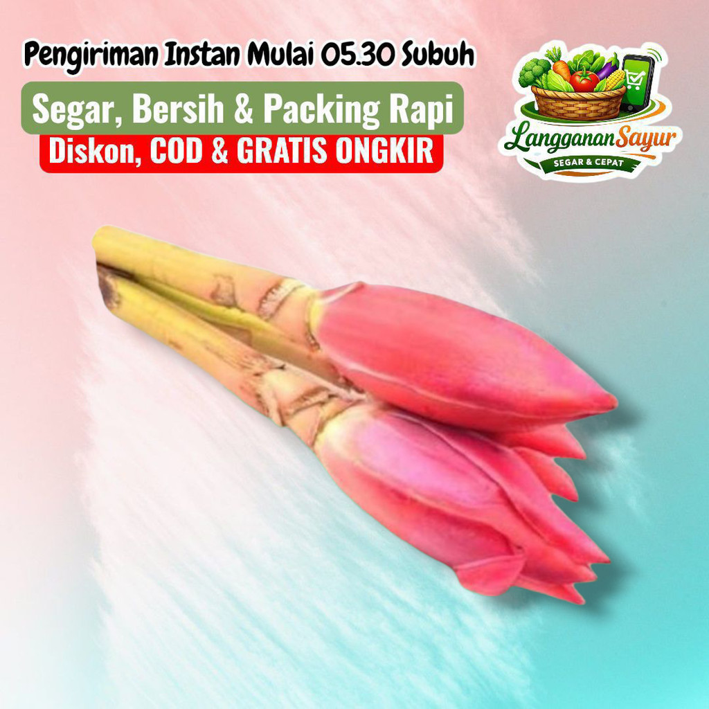 Kecombrang Segar 1 Pcs Dari Palembang