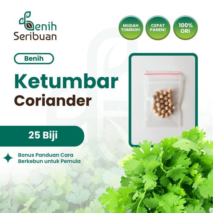 25 Benih Ketumbar Coriander Favor Bibit Sayuran Known You Seed Import - KETUMBAR