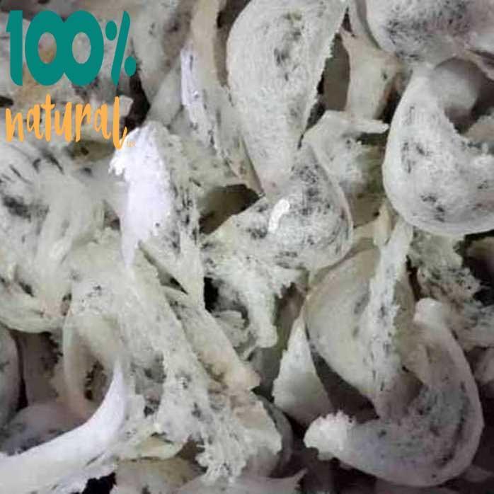 SARANG BURUNG WALET atau YENWO asli kotor mangkok