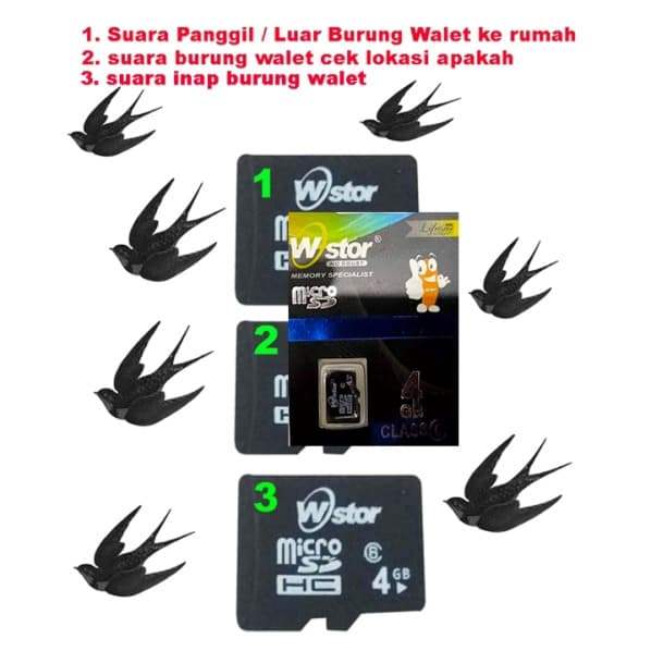 SUARA PANGGIL BURUNG WALET dan CEK LOKASI BURUNG WALET micro sd