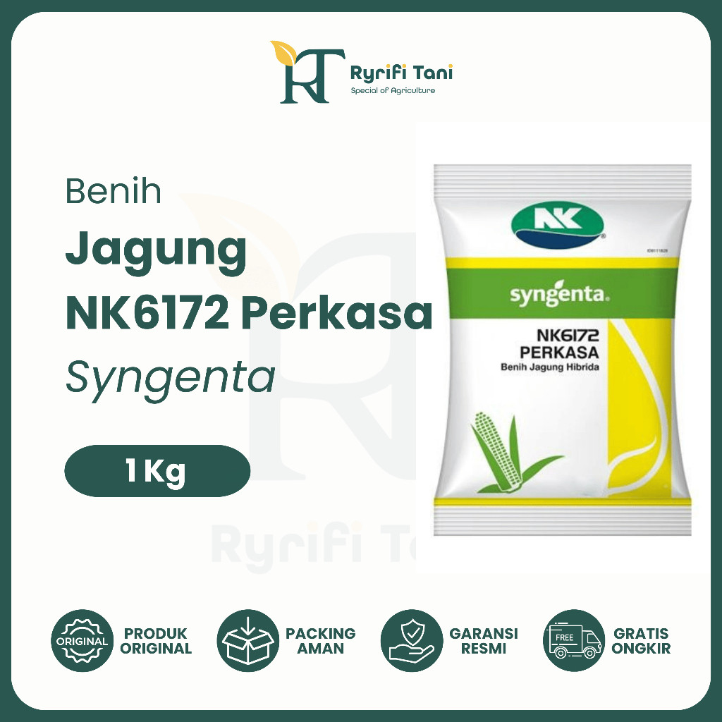 Syngenta - Benih Bibit Jagung Hibrida NK6172 PERKASA 1Kg / NK Perkasa Original