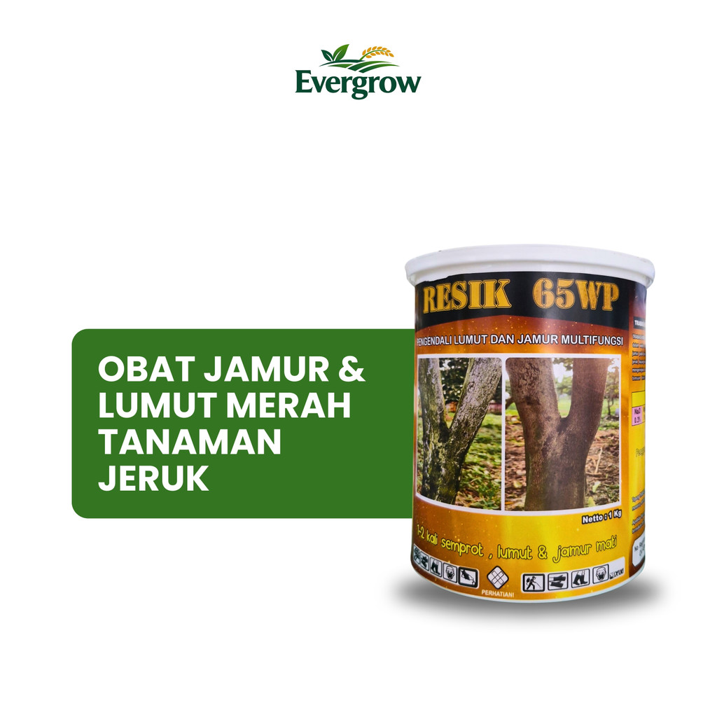 Fungisida RESIK 65WP 1kg – Obat Jamur & Lumut Merah Tanaman Jeruk