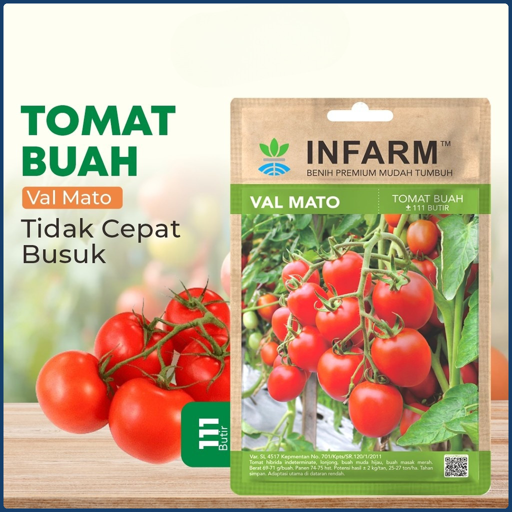 Benih Buah Tomat Valmato INFARM Bibit Biji Tomat Buah Valmato Tomat Buah Manis Premium
