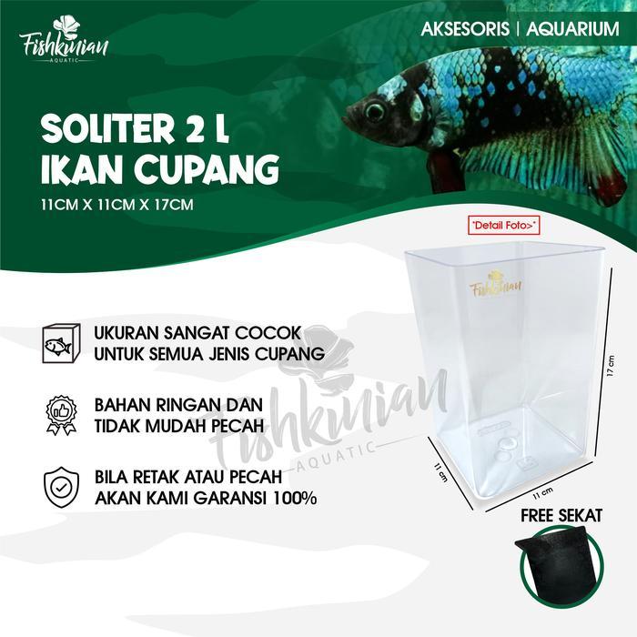 Akrilik Paxton size 11x11x17 (plt) - PAXTON, 2 Liter