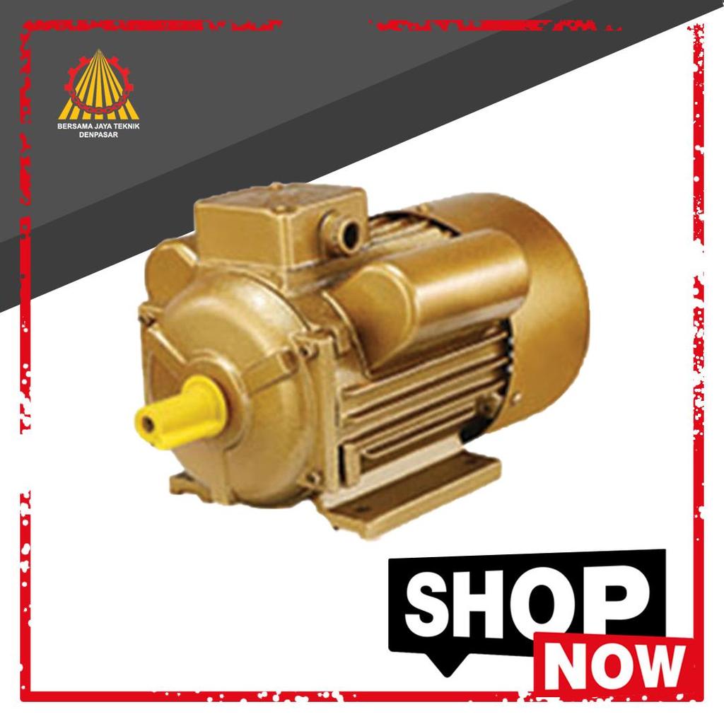 Elektromotor TOSITA 1 PHASE 2HP 4P