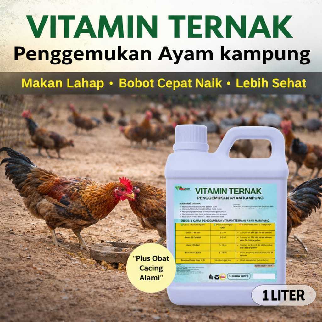 TergacorVitamin Ayam Kampung Penggemukan Cepat1 Liter/Obat ayam kampung cepat besar/pakan ayam kampu