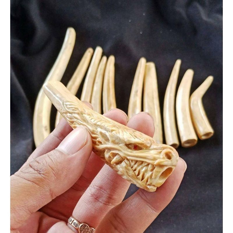 PIPA ONCE UNIK FOSIL AKAR BAHAR PUTIH UKIR NAGA GALAK