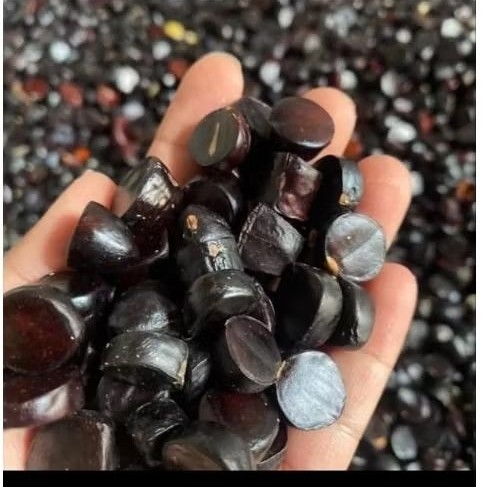 jolang jaling Kabau dari Lampung berat 100gr