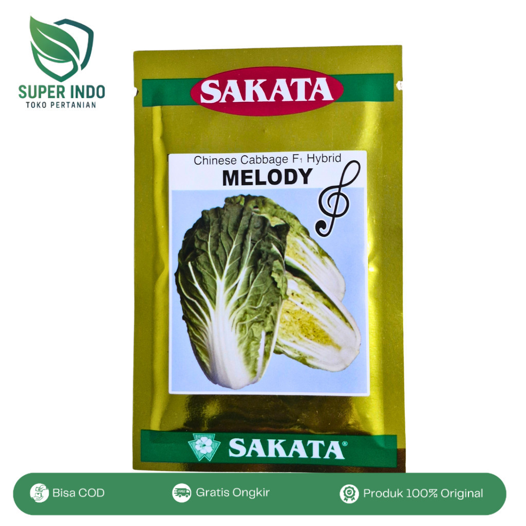 Sawi Putih Melody F1 10gr Sakata Tahan Panas Cocok Tumpang Sari