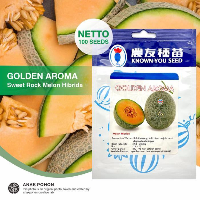 (1 PACK - 100 SEEDS) Benih Melon Golden Aroma Oranye Hibrida F1 Seeds - Known You Seed KYS
