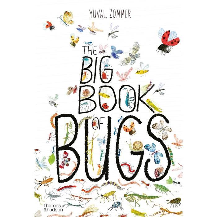Kidnedu Collection Book The B Book by Yuval Zommer - Bugs