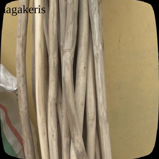 ranting kayu jati 150 cm - tangkringan burung - ranting jati murah FXN09