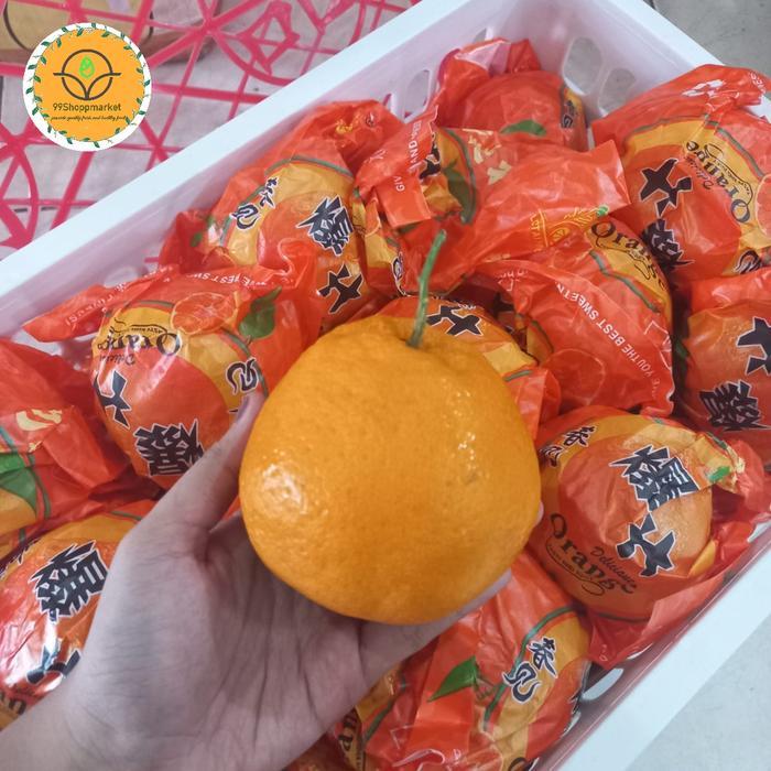 Jeruk spring dekopon chun jian super / keranjang