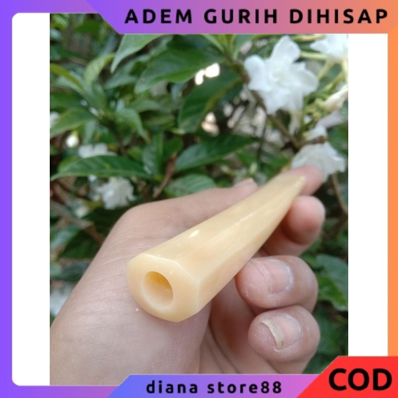 ONCE TULANG UNTA  IMPORT SUPER GURIH